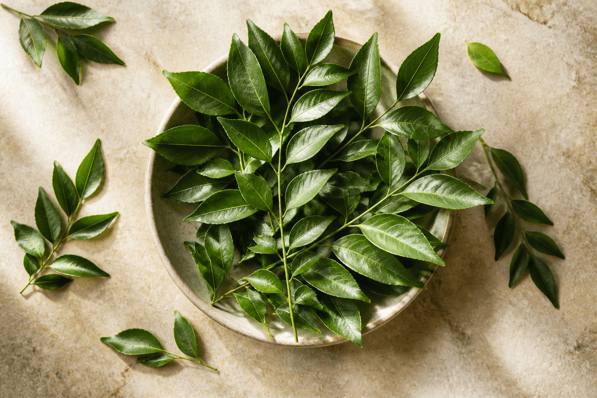 Curry leaves